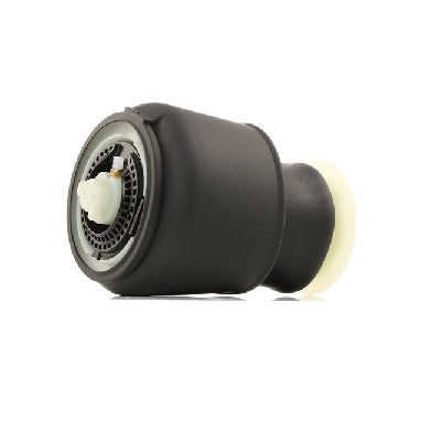 0470027-AIR SPRING SUSPENSION REAR SWSO 37106781827