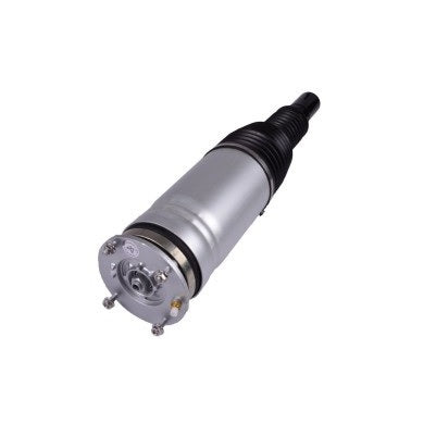 0470038-AIR SPRING SUSPENSION FRONT  SWSO LR056926