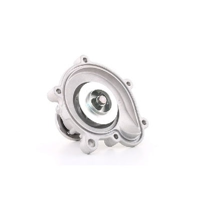 170069-Euro Icon Water Pump 2712001001